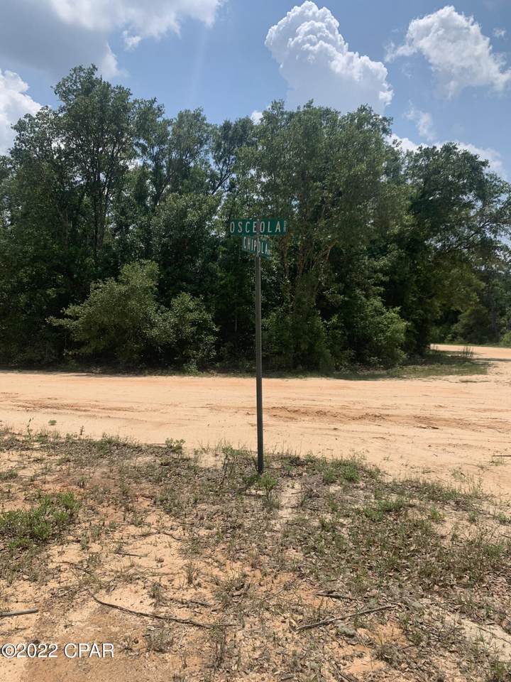 0000 Osceola Drive - Photo 1
