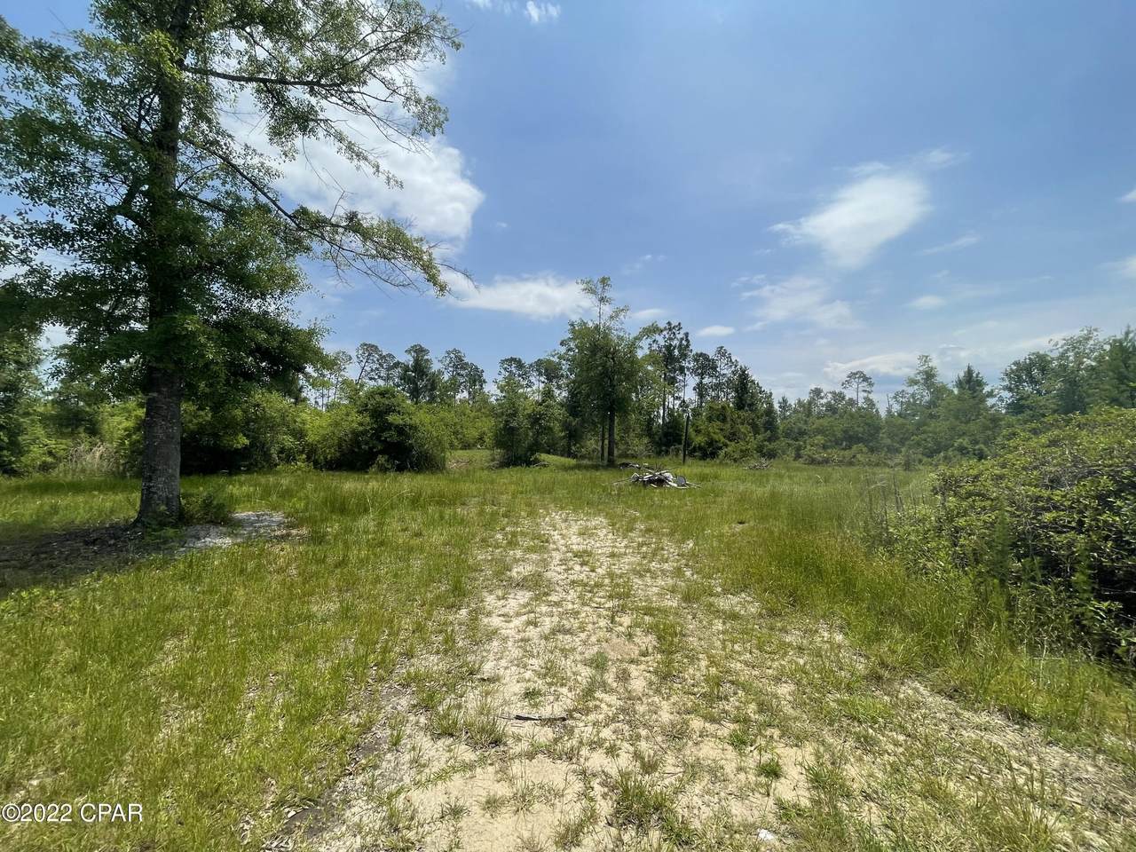 12306 Webber Road - Photo 1