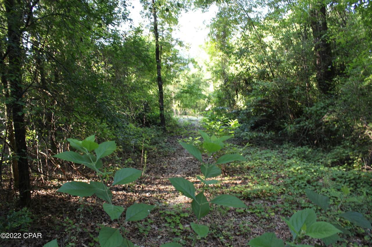 Lot 33 Territory Road - Photo 1