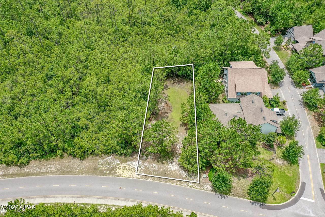 1333 Salamander Trail - Photo 1