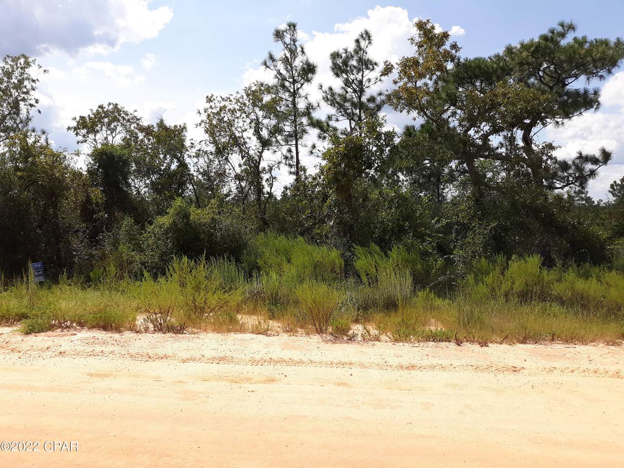 0 Sadorus Avenue - Photo 1