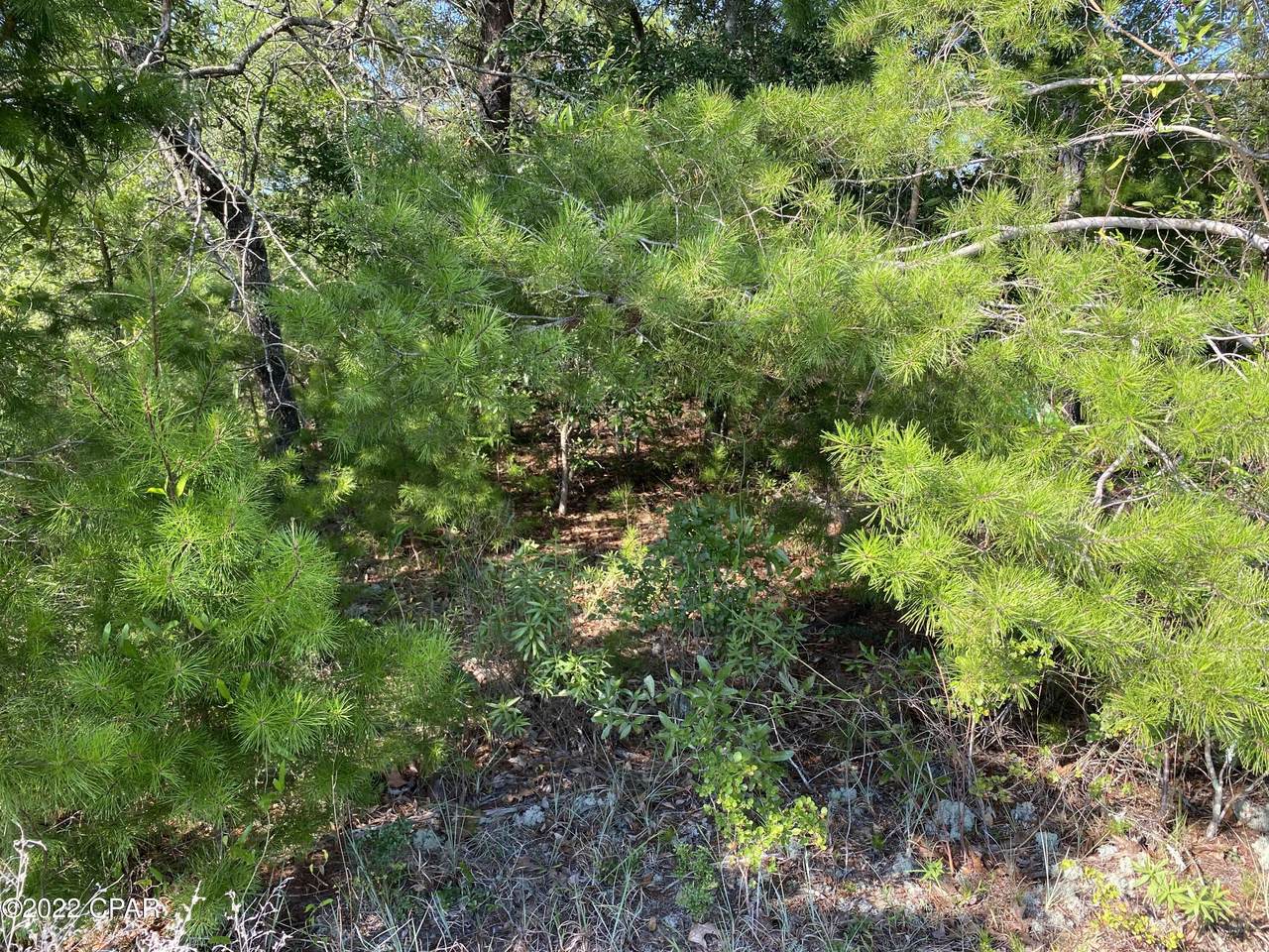 Lots 18,19 Deadening Road - Photo 1