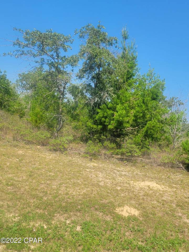 Lot 2 Challenger - Photo 1