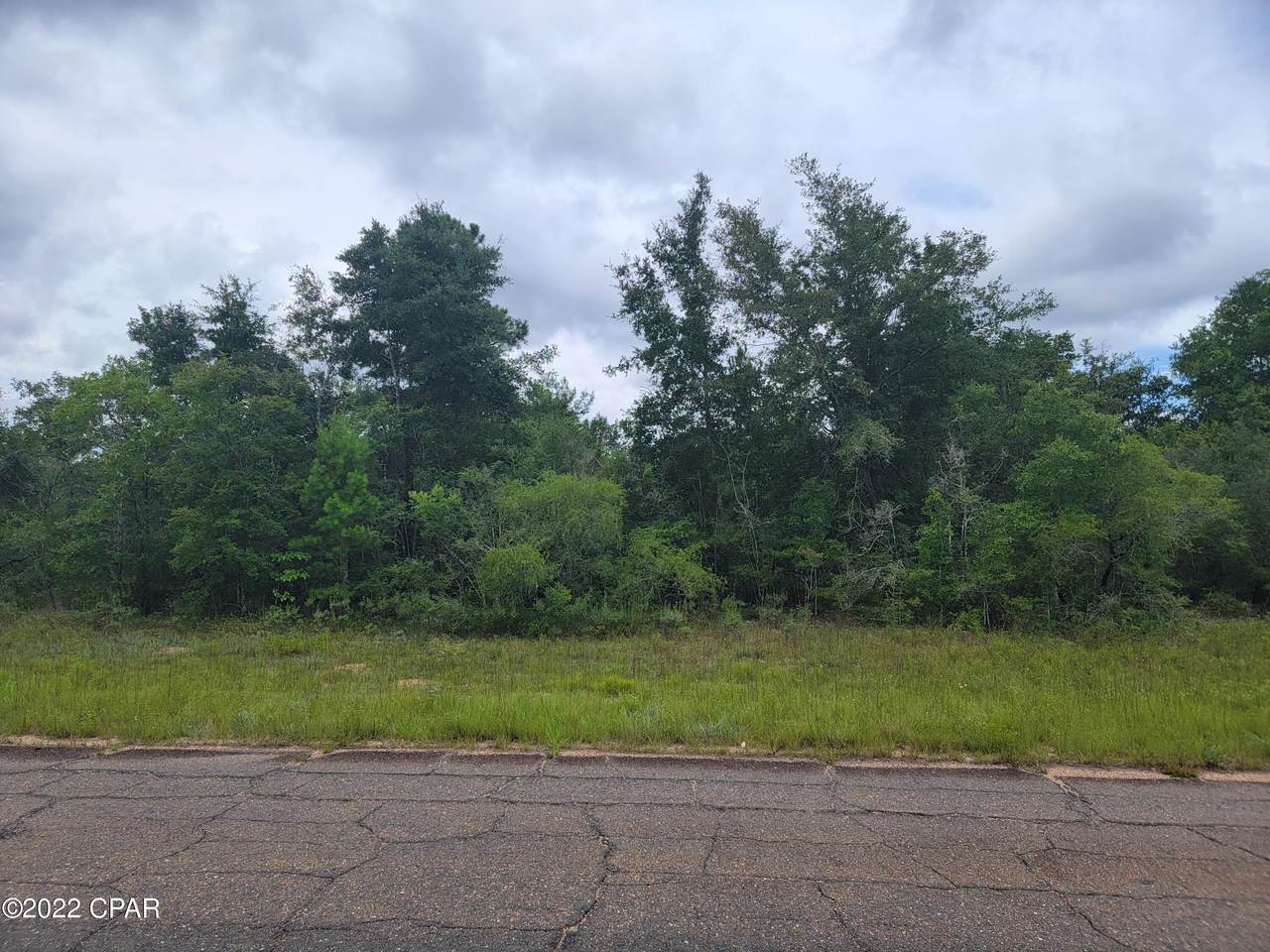0 Firetower Road - Photo 1