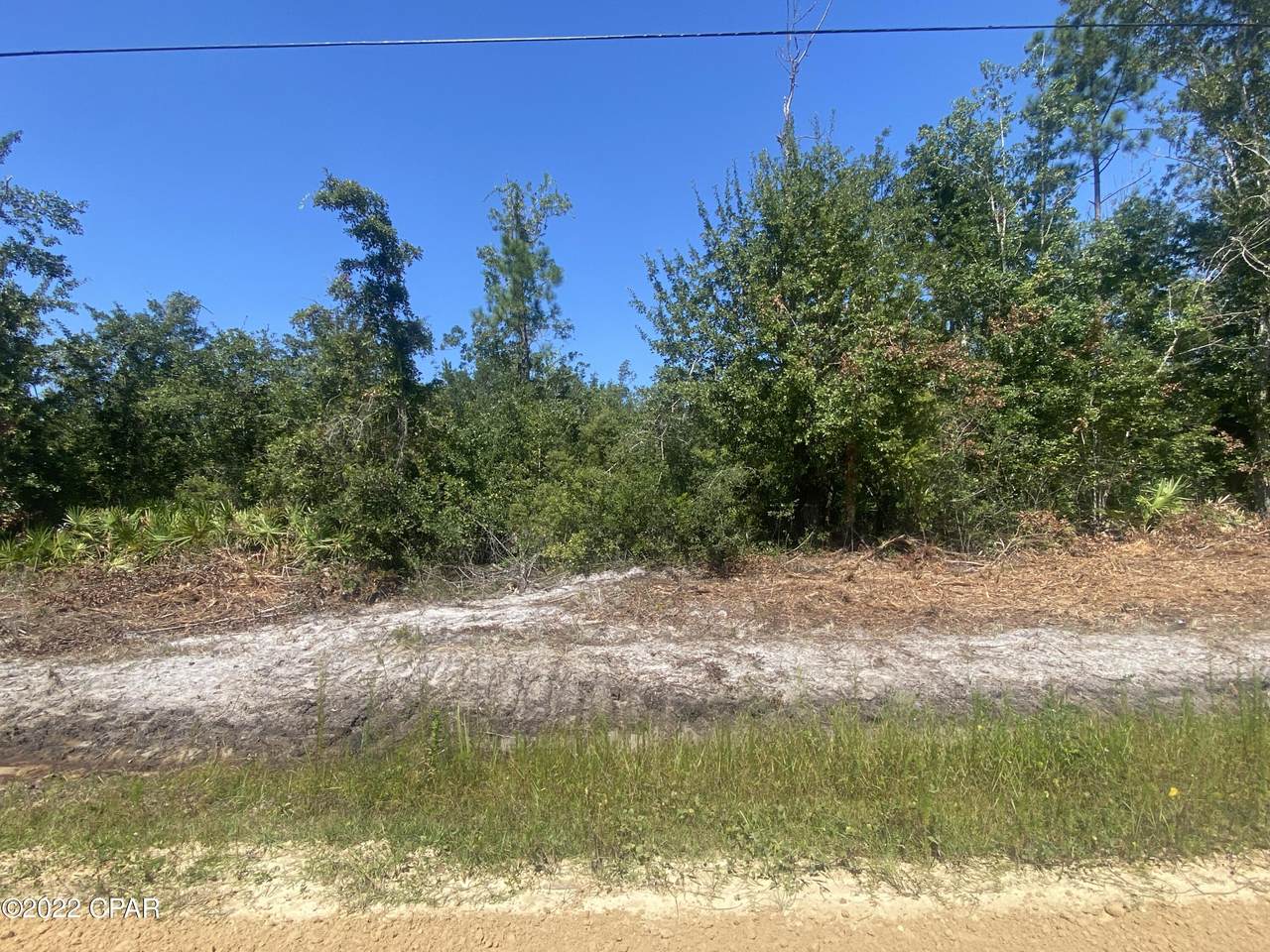 7207 Miller Rd. Road - Photo 1