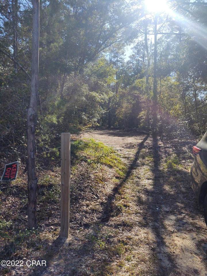 000 Otter Creek Road - Photo 1