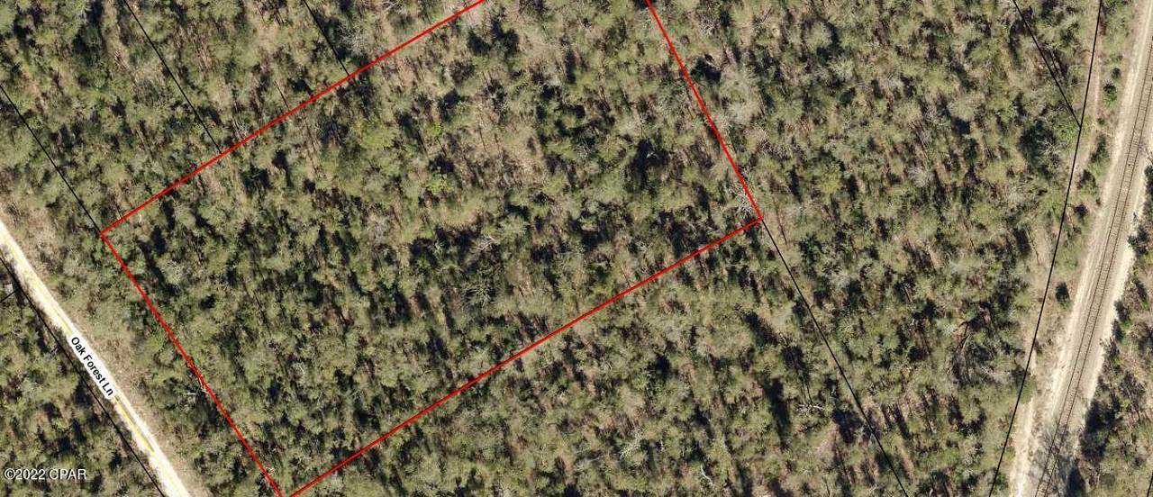 TBD Oak Forest Lane Lane - Photo 1