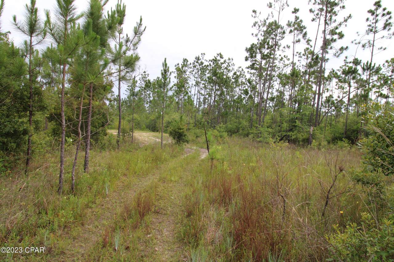https://bt-photos.global.ssl.fastly.net/panamacity/1280_boomver_1_748927-2.jpg