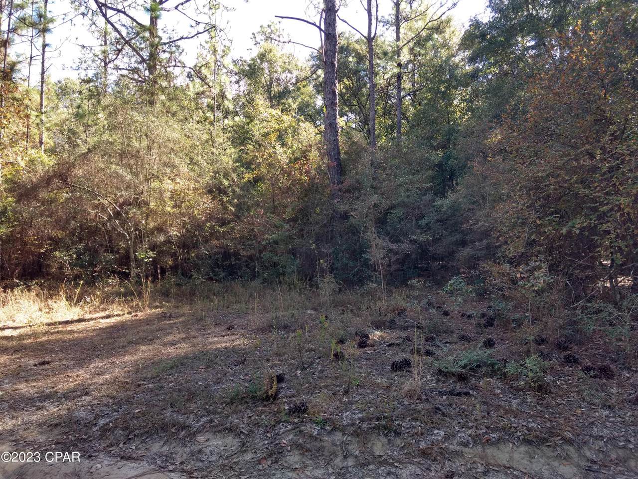 https://bt-photos.global.ssl.fastly.net/panamacity/1280_boomver_1_749211-2.jpg