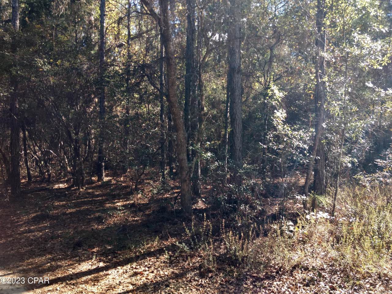 https://bt-photos.global.ssl.fastly.net/panamacity/1280_boomver_1_749211-2.jpg