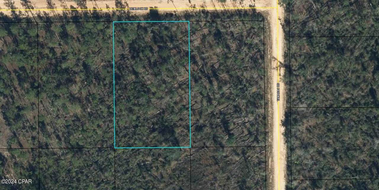 00 Hemlock Road - Photo 1