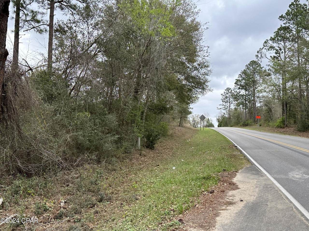 Tract 6408 Cooks Mill Road - Photo 1