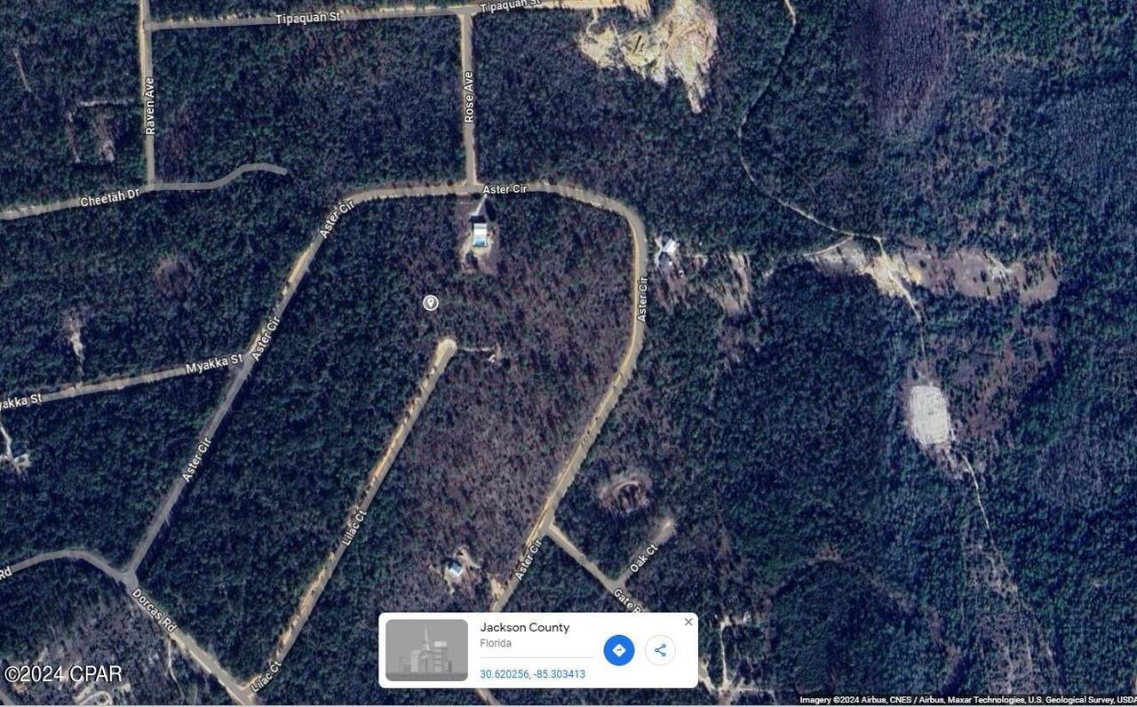 Lot 21 Lilac Court - Photo 1