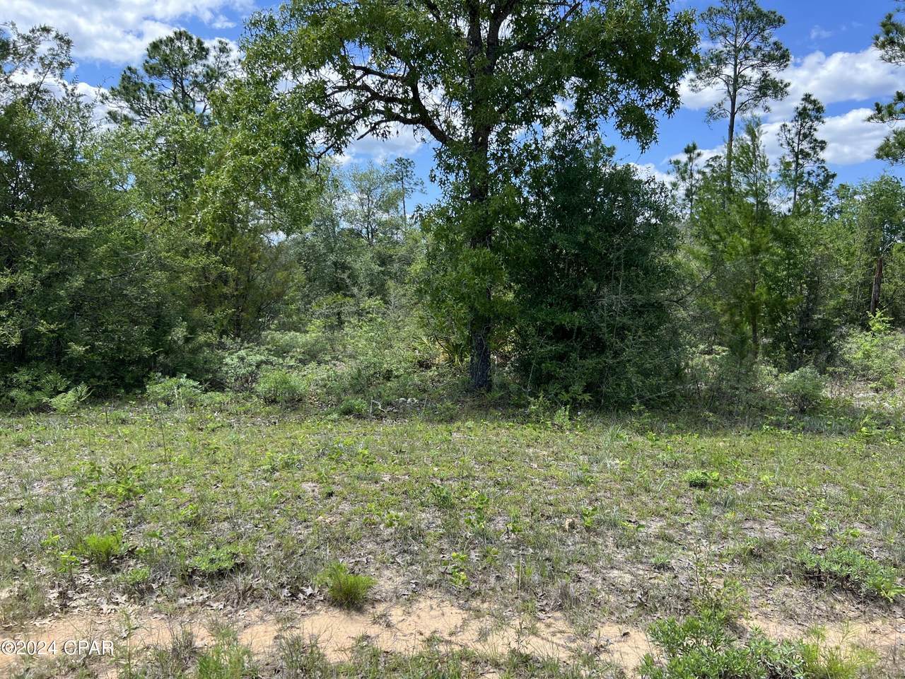 Lot 6 Cleveland Drive - Photo 1