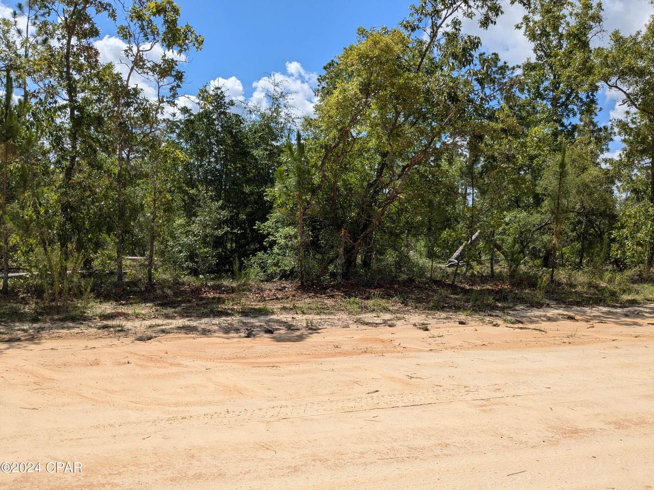 0 Fredrica Drive - Photo 1