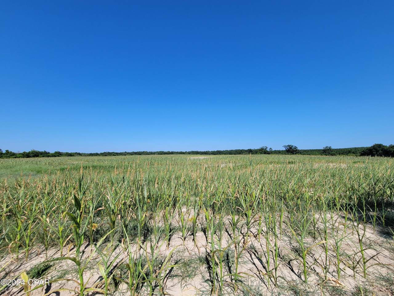 Lot 4 Bradley Road - Photo 1