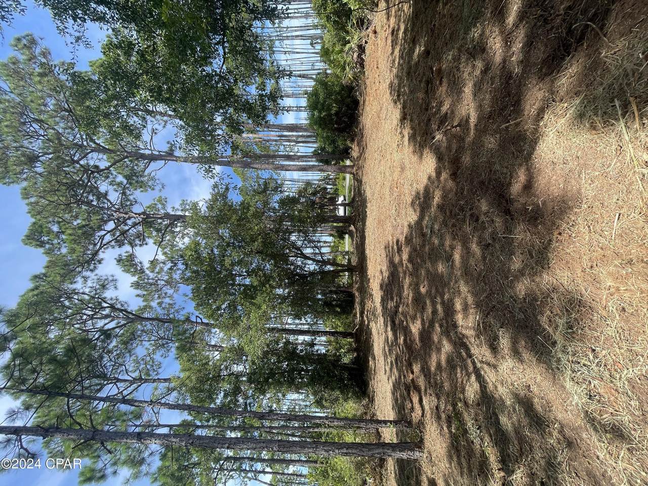 Lot 9 Sr 30A - Photo 1