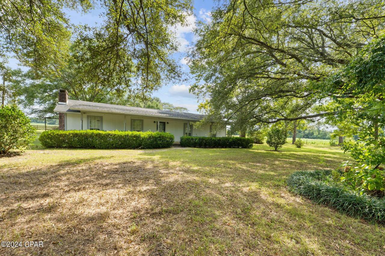 877 Clayton Road - Photo 1