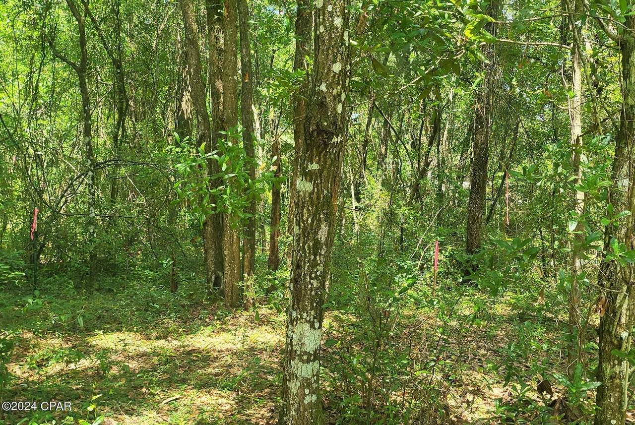 00 Elizabeth Street - Photo 1