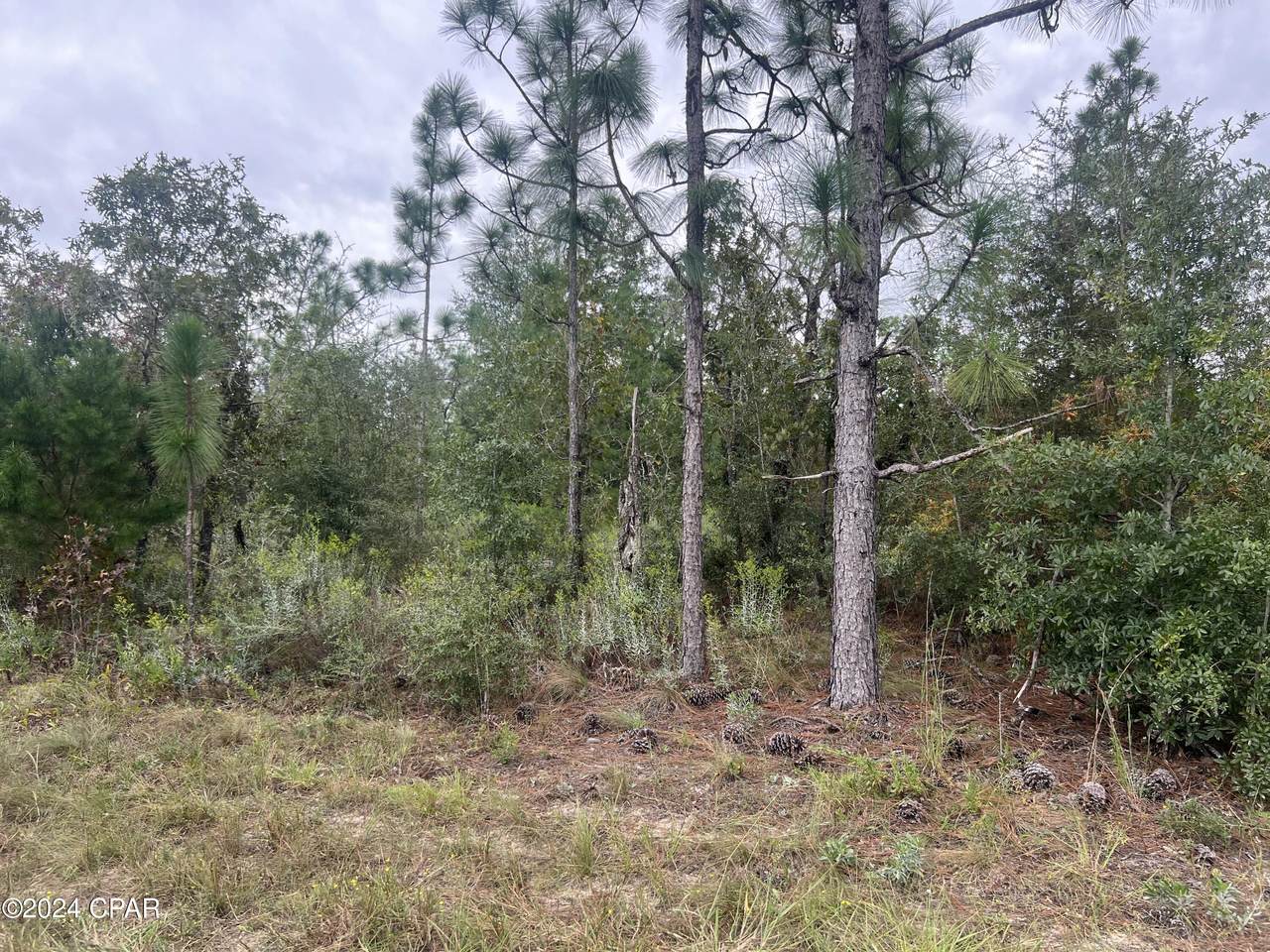 000 Barksdale Lane - Photo 1