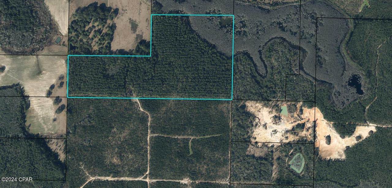 TBD Douglas Ferry Road - Photo 1