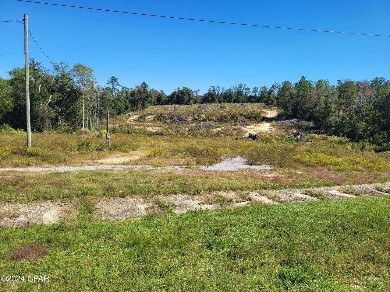 952 Highway 231 - Photo 1