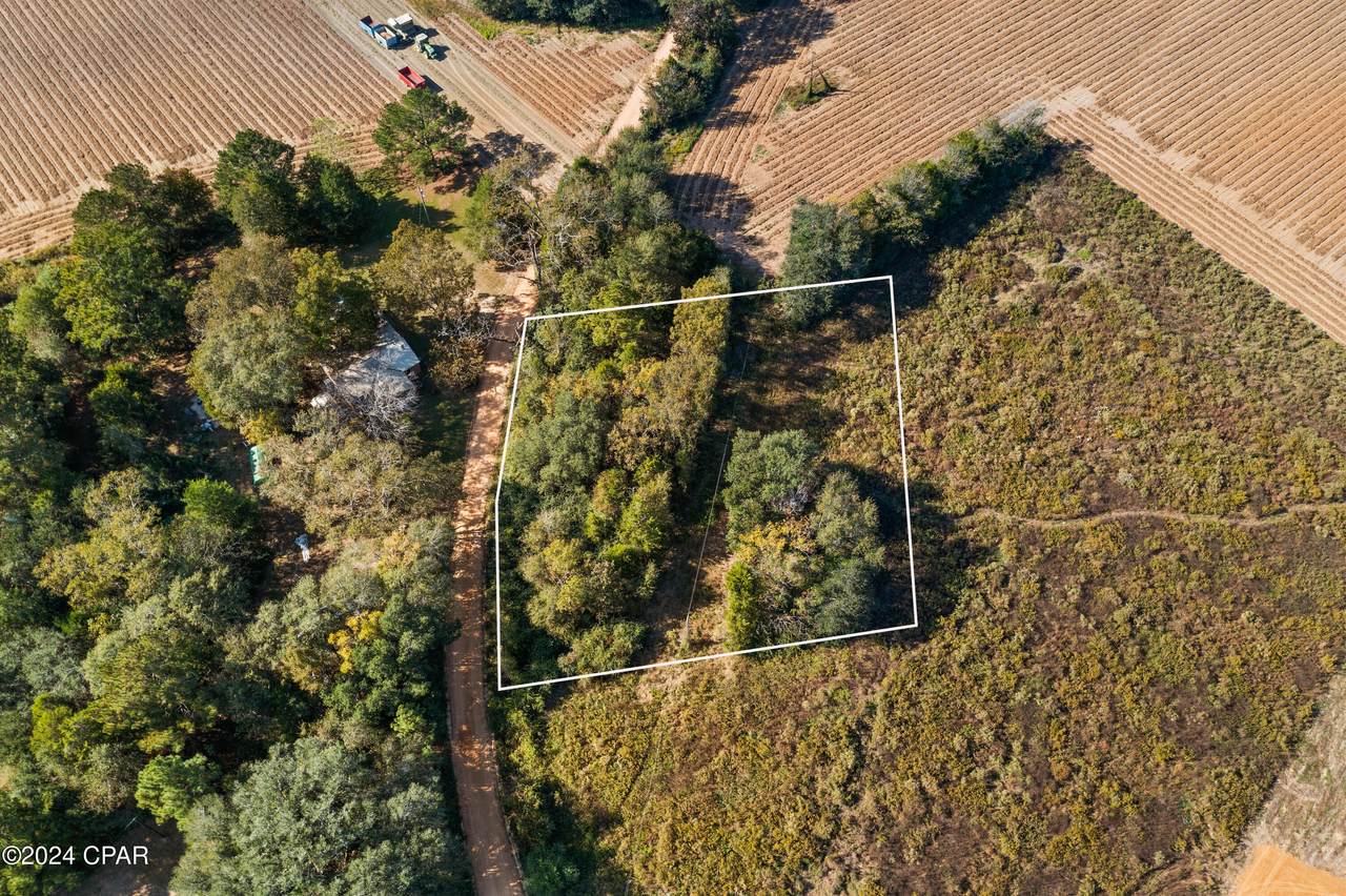 XXX Leamon Smith Road - Photo 1