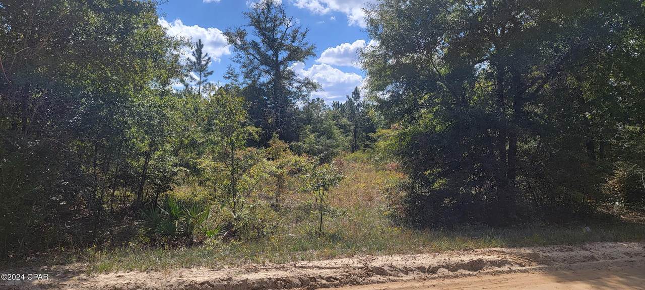 0 Susie Lane Drive - Photo 1