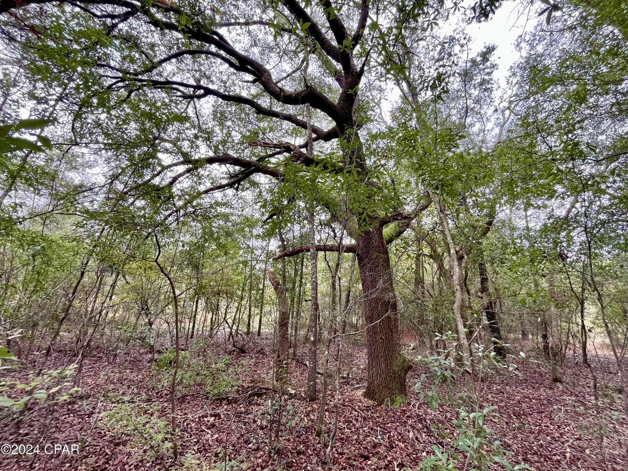 Lot 12 Janet Circle - Photo 1