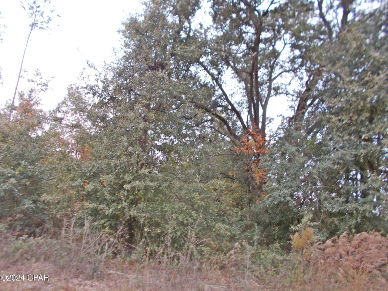 00 Green Road - Photo 1