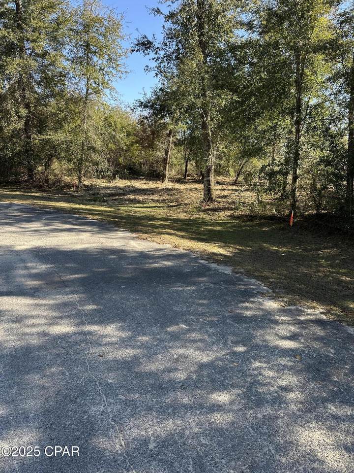 31 Indian Bluff Drive - Photo 1
