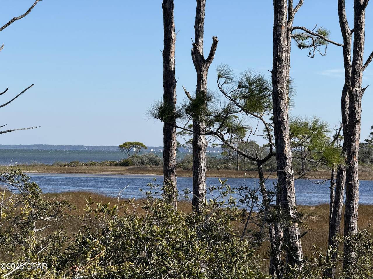 TBD Cape San Blas Road - Photo 1
