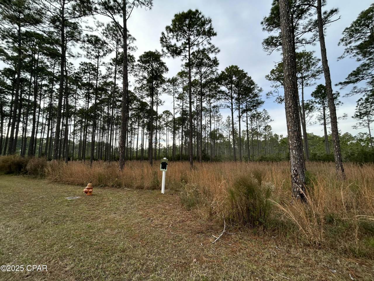 https://bt-photos.global.ssl.fastly.net/panamacity/1280_boomver_1_767222-2.jpg