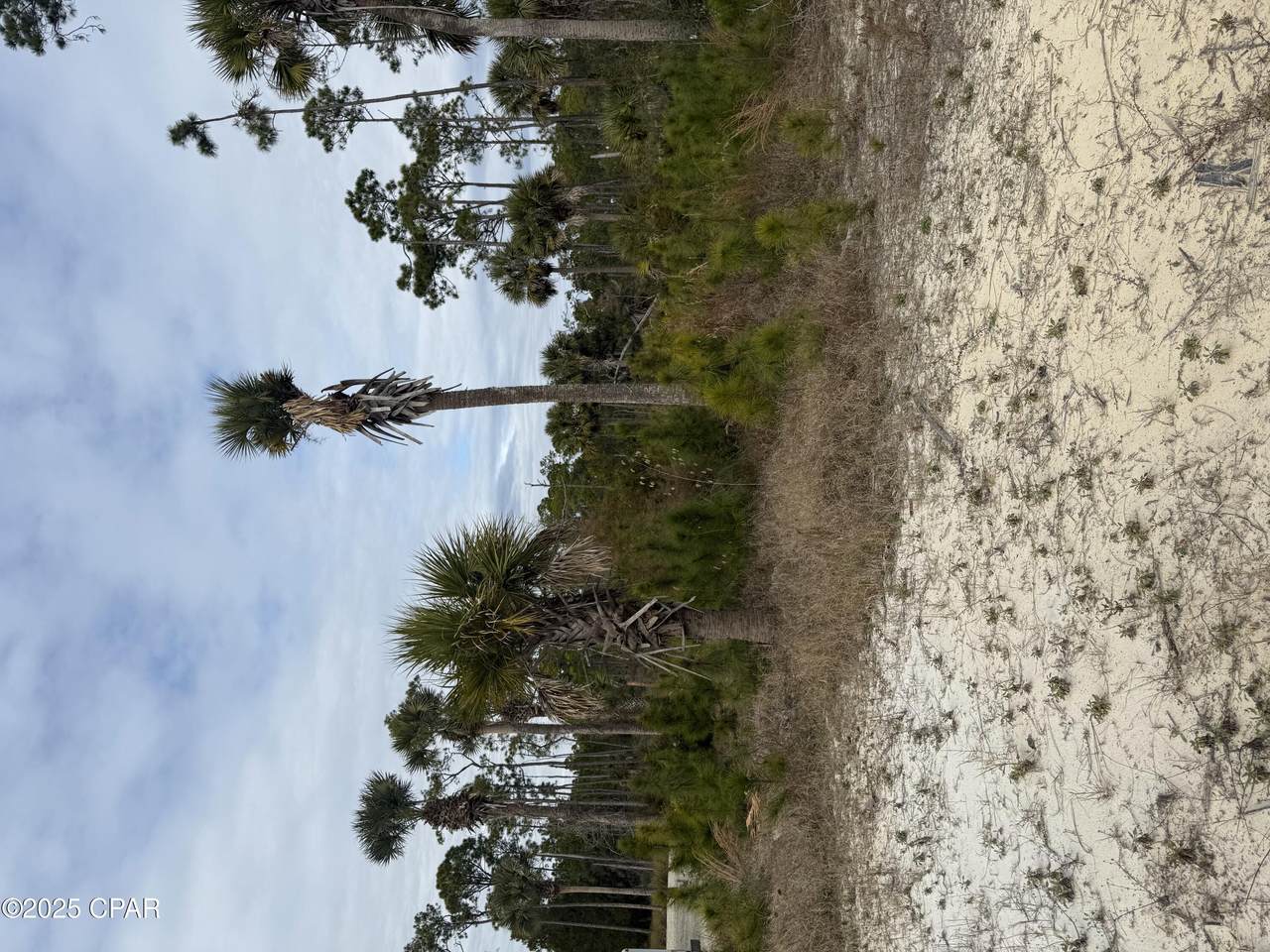7951 Cr 30A - Photo 1