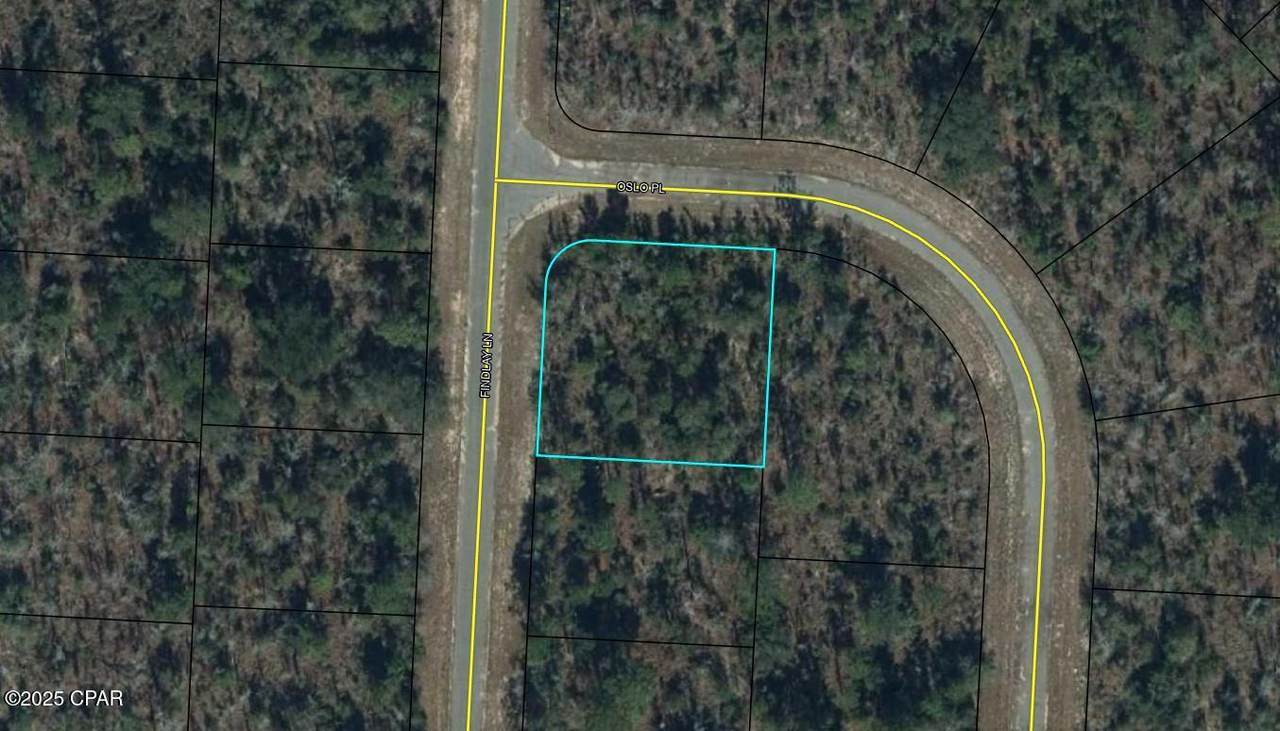 Lot 1 Findlay Lane - Photo 1