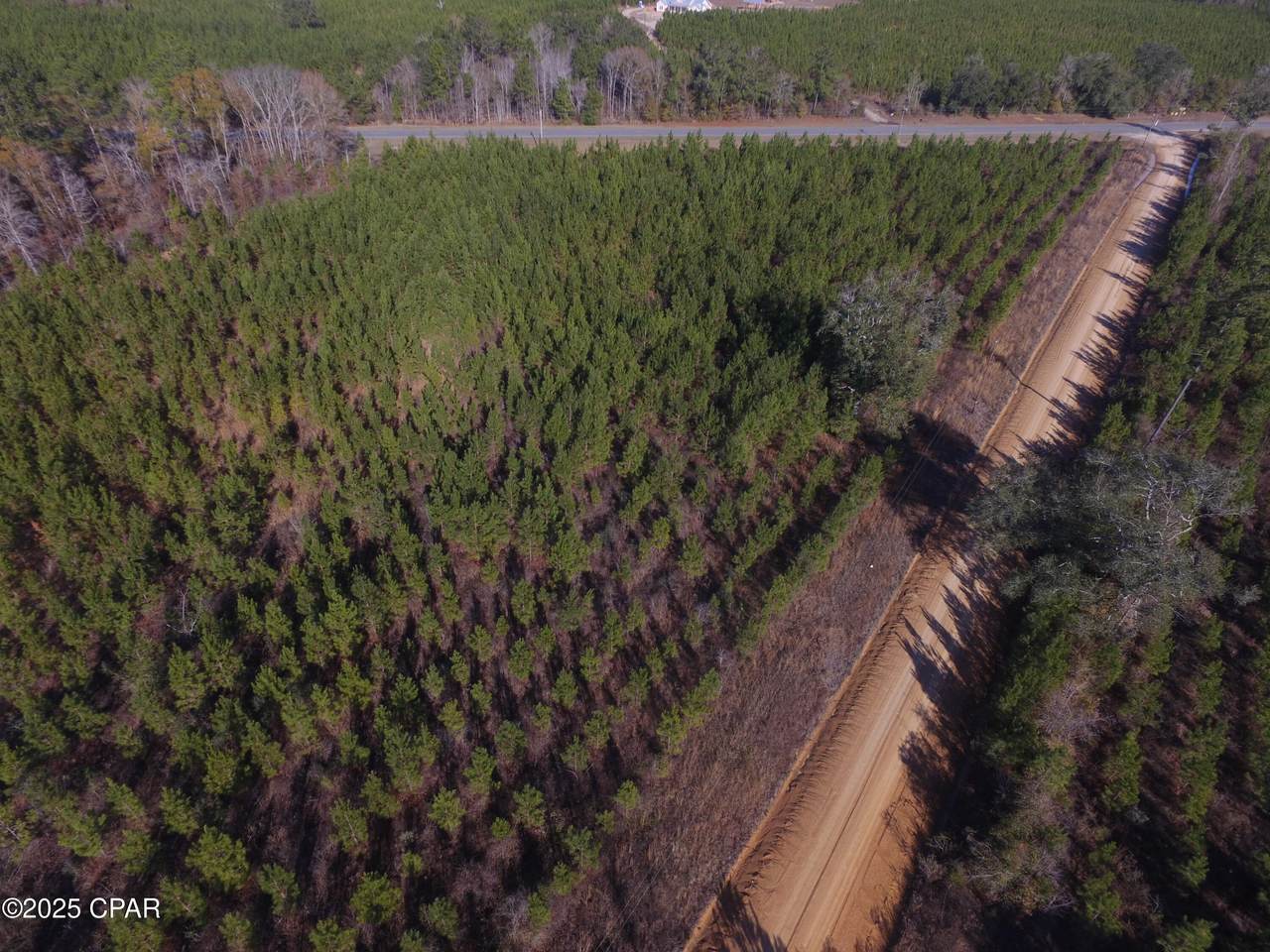 TBD Lot 1 Peanut Road - Photo 1