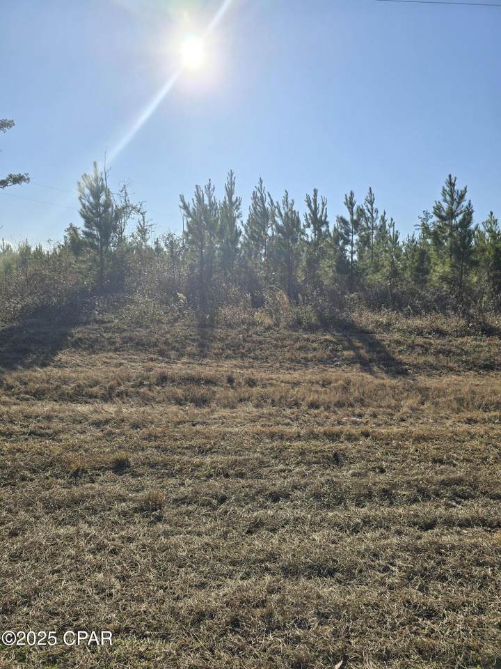 TBD Lot 2 Peanut Road - Photo 1