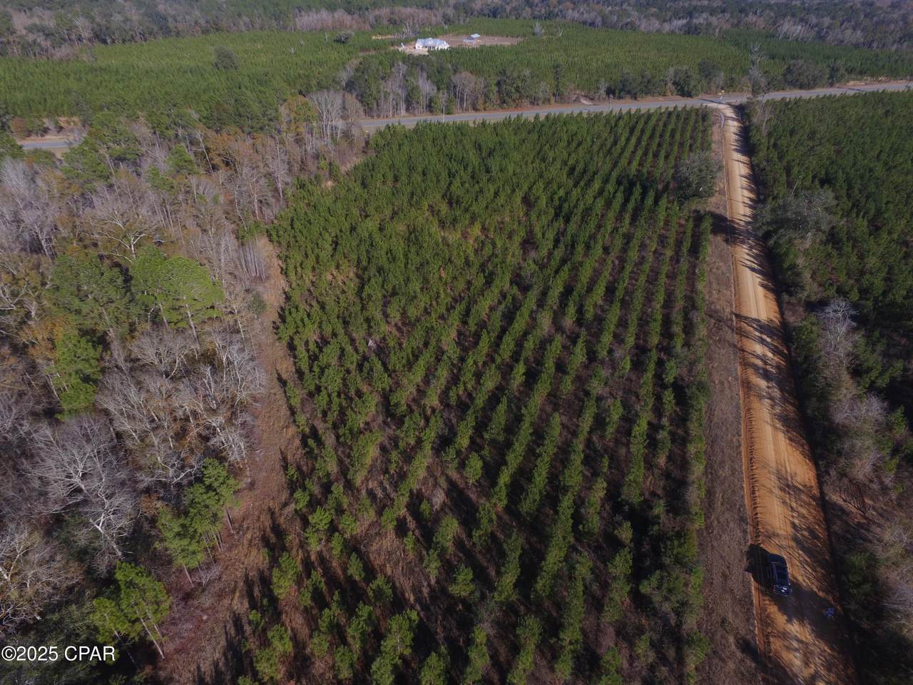 TBD Lot 3 Peanut Road - Photo 1