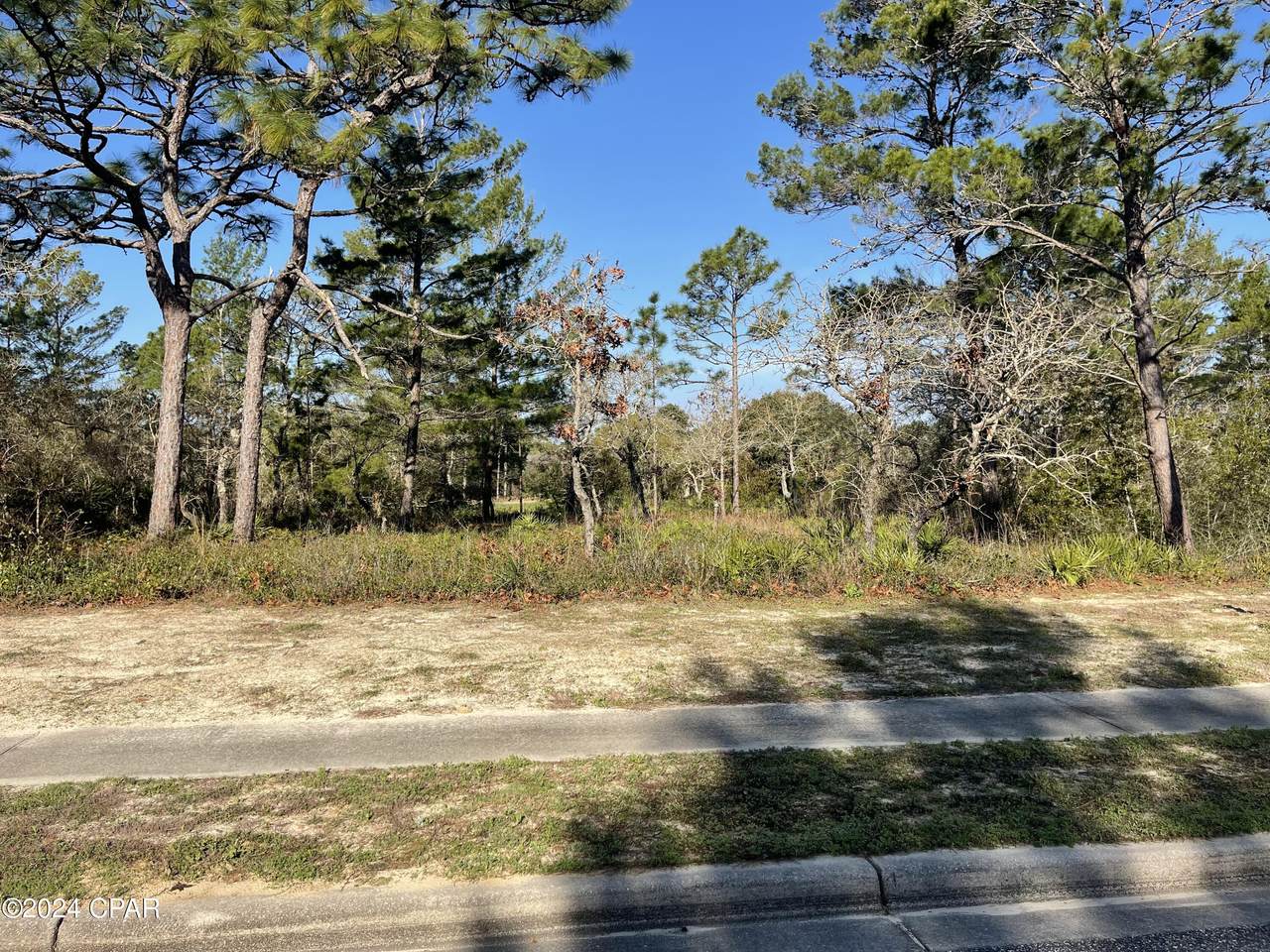 131 Laughing Gull Lane - Photo 1