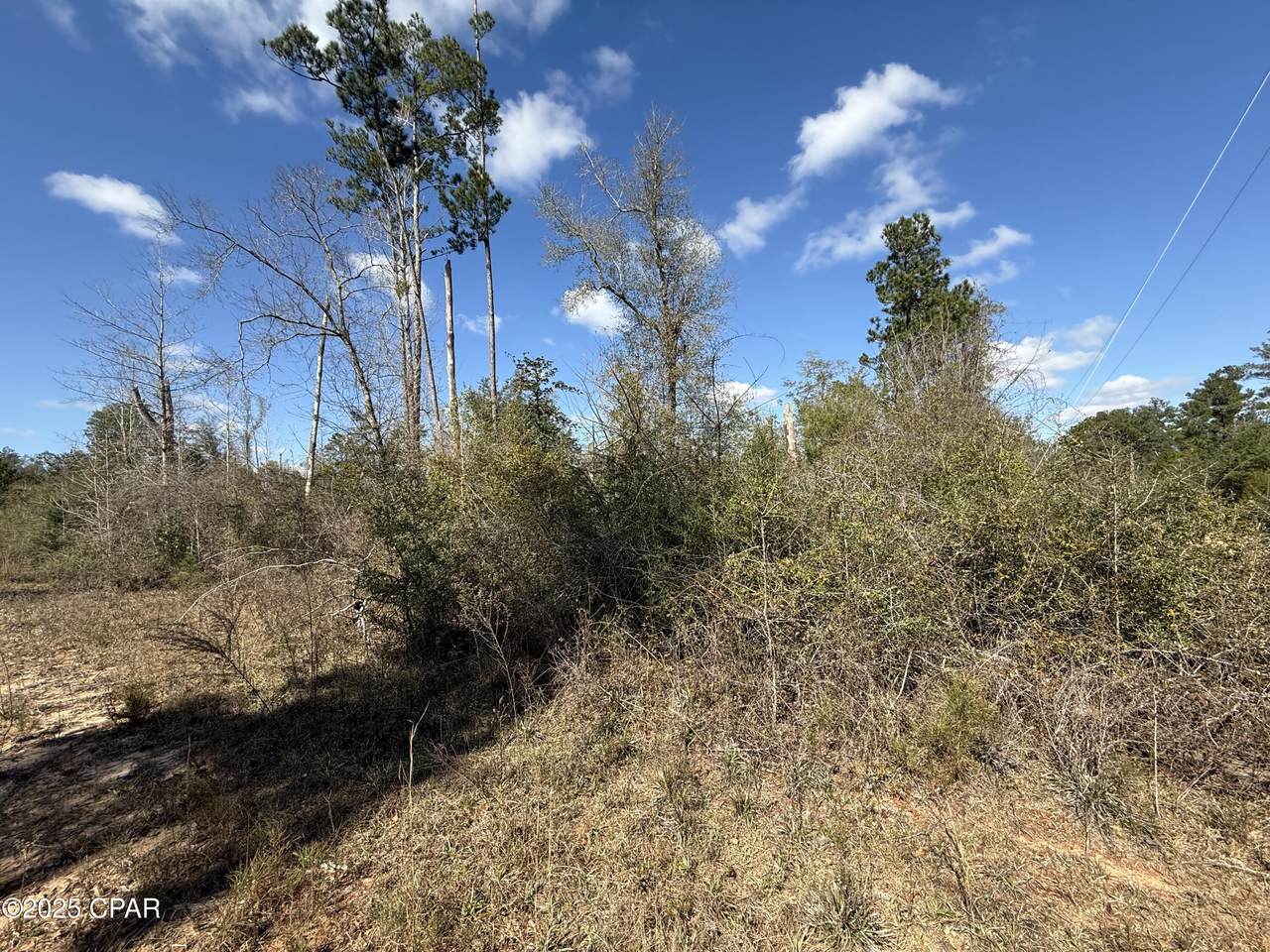 00 Tanager Court - Photo 1