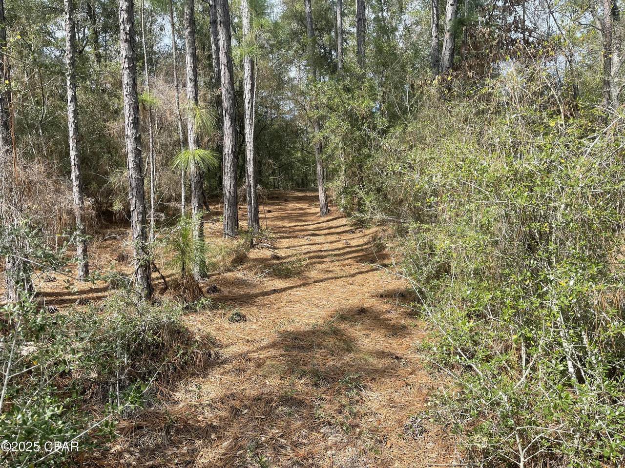 3340 Varsey Lane - Photo 1