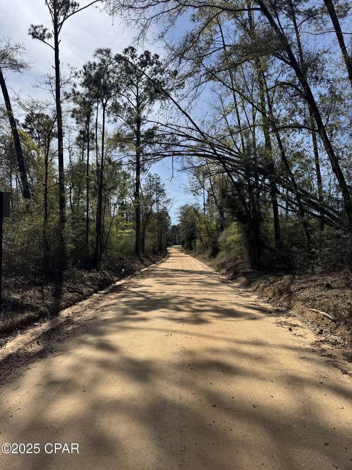 00 Sunday Road - Photo 1