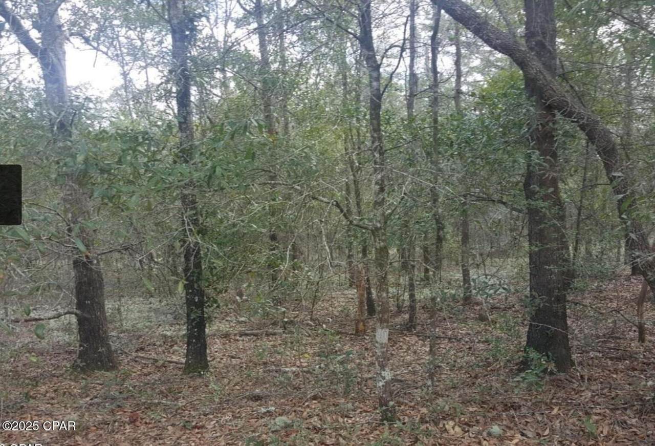 000 Fusion Circle - Photo 1