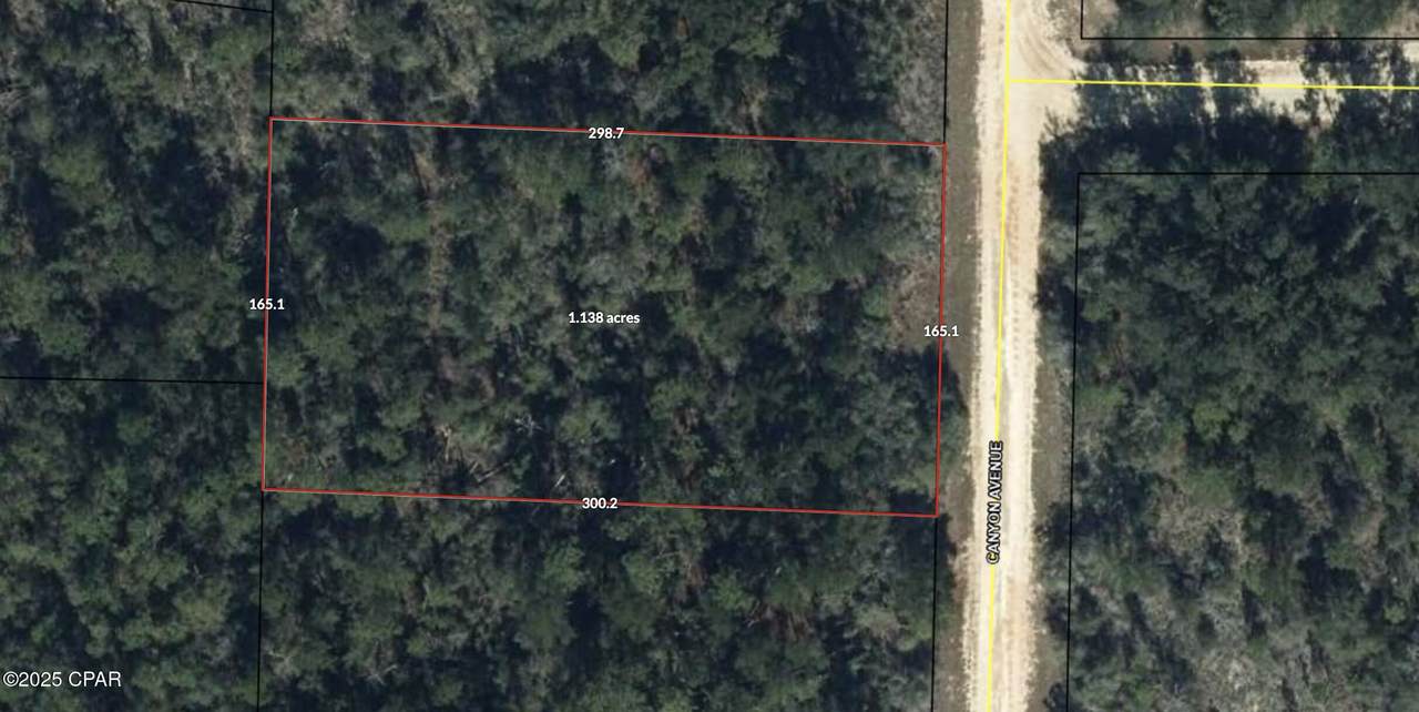 00 Canyon Avenue - Photo 1