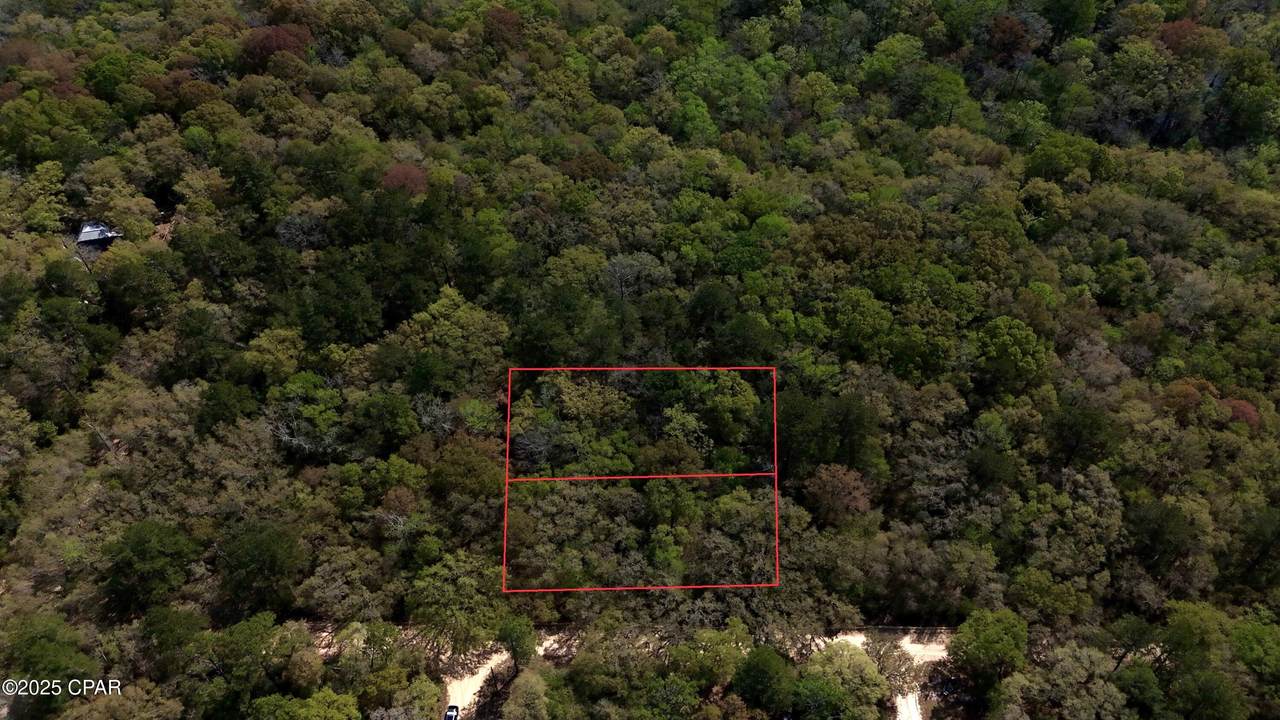 Lot 25,26 Blue Springs Rd - Photo 1