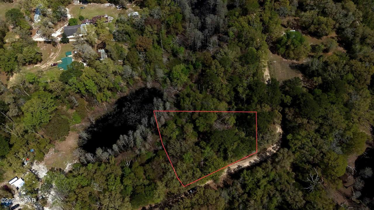 0.7 AC Old Mill Rd - Photo 1