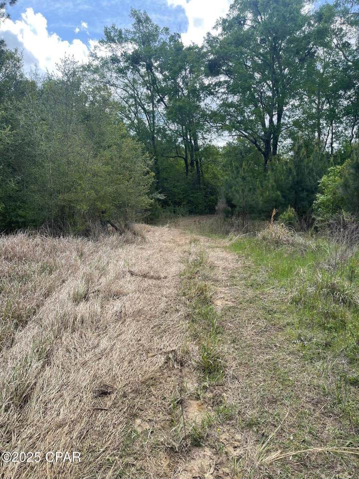 000 Lake Victor Road - Photo 1