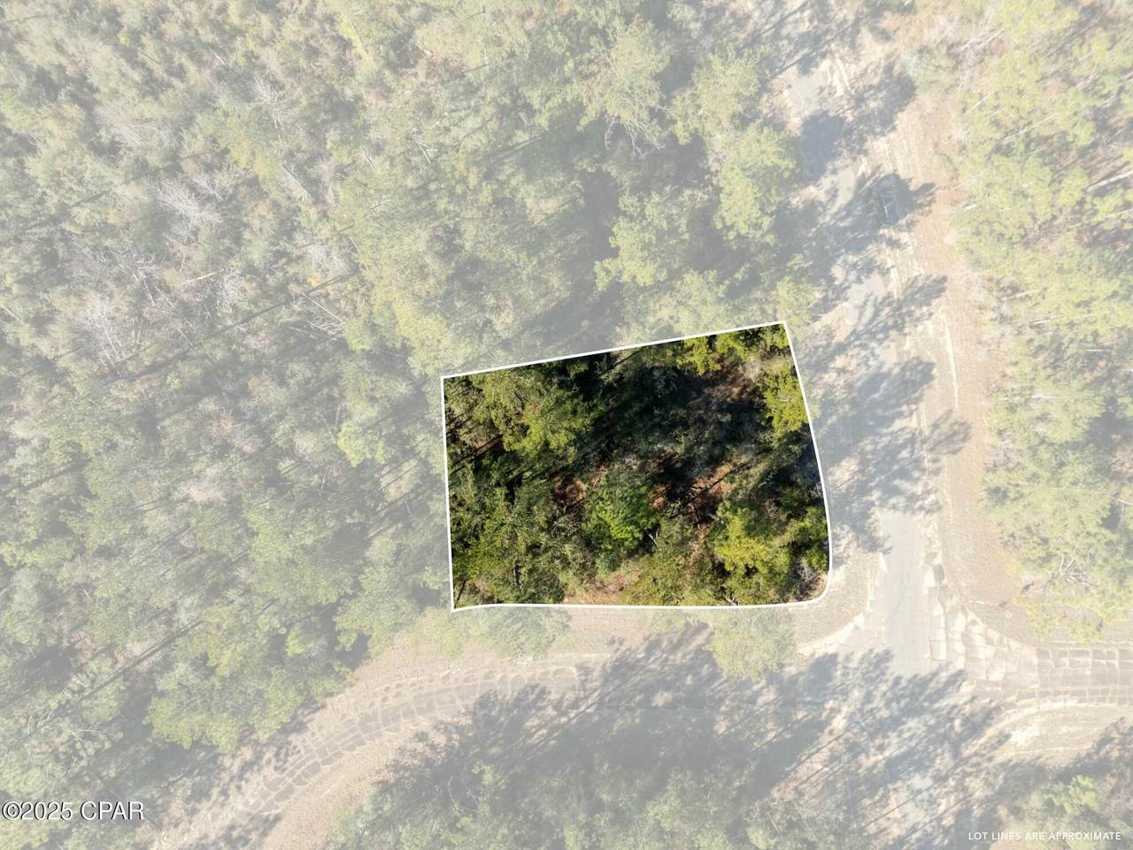 TBD Adirondack - Photo 1