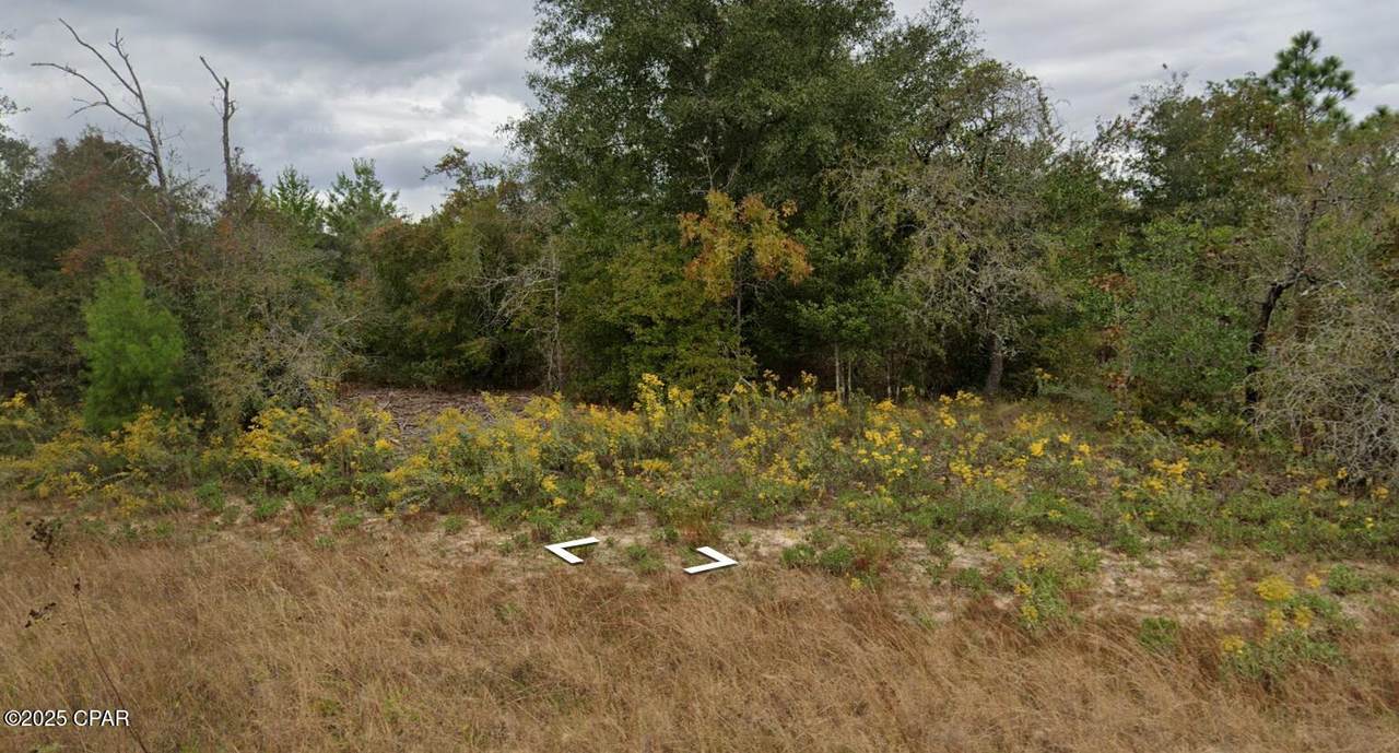 Lot 10 Pennington Drive - Photo 1