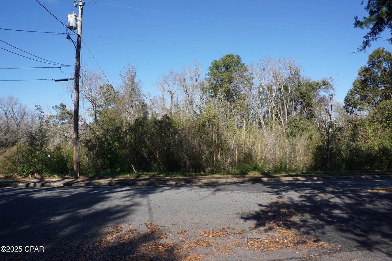 121 Hickory Street - Photo 1